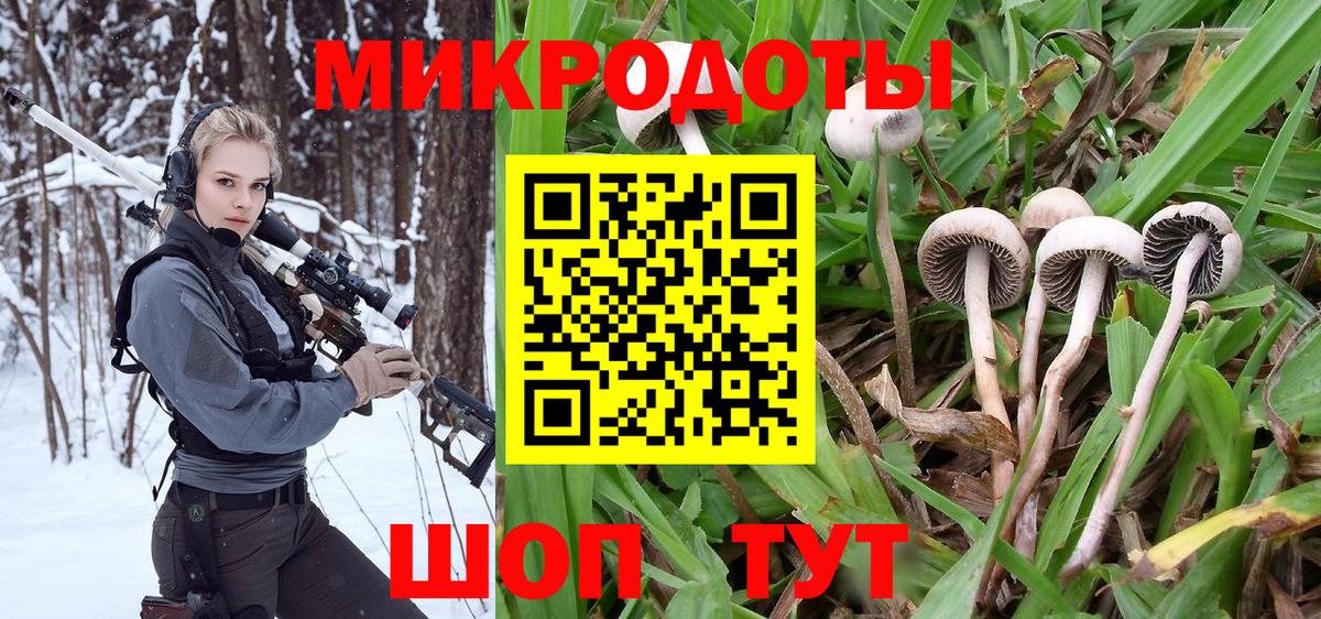 Галлюциногенные грибы Magic Shrooms  Галлюциногенные грибы мухоморы  Сочи  Вход с VPN 